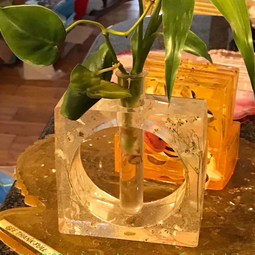 Plant & Cuttings Propagation Station - Watch plants growing their root systems!